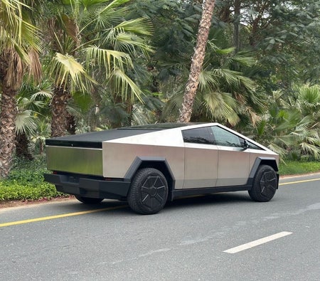 Tesla Cybertruck  2024, photo 3 of 4