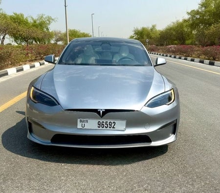 Silber Tesla Model S 2025