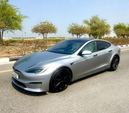 Silber Tesla Model S 2025