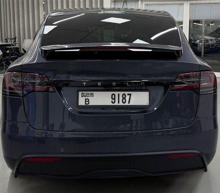 Серый Tesla Model X 2023 год Серый Tesla Model X 2023 год