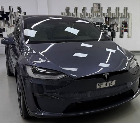 Gray Tesla Model X 2023