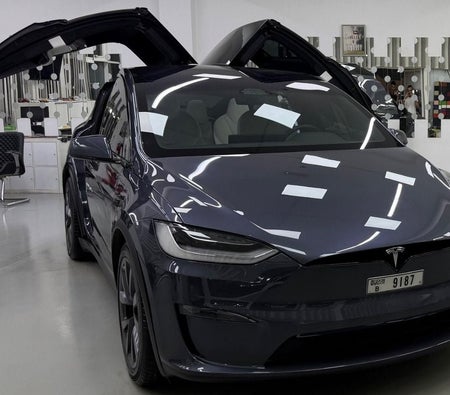 Серый Tesla Model X 2023 год Серый Tesla Model X 2023 год