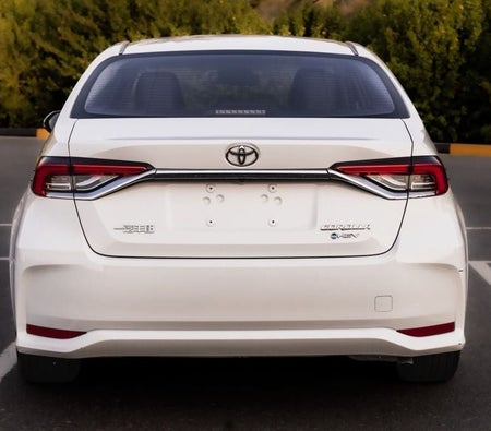 White Toyota Corolla 2025