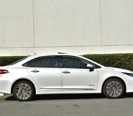 Toyota Corolla 2025, photo 3 of 4
