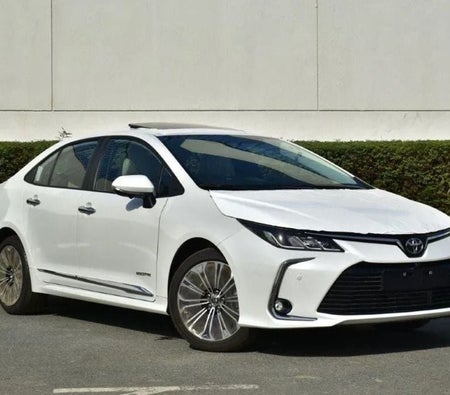 Toyota Corolla 2025, photo 1 of 4