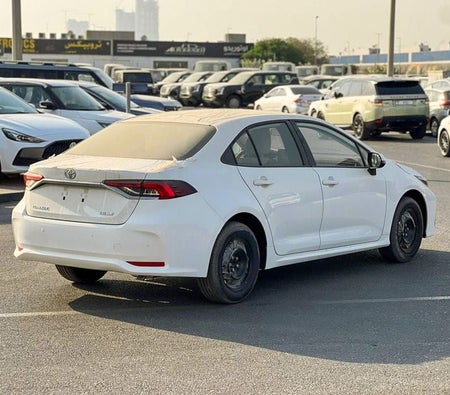 White Toyota Corolla 2026