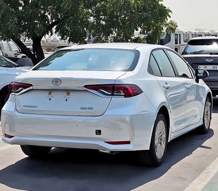 Blanc Toyota Corolla 2026 Blanc Toyota Corolla 2026