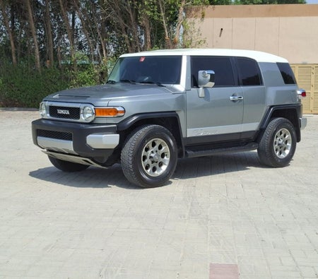 D'argento Toyota FJ Cruiser 2011