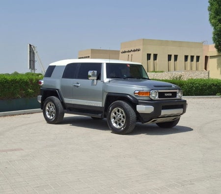 D'argento Toyota FJ Cruiser 2011