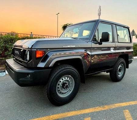 Toyota 70 Series 2025, photo 2 of 4