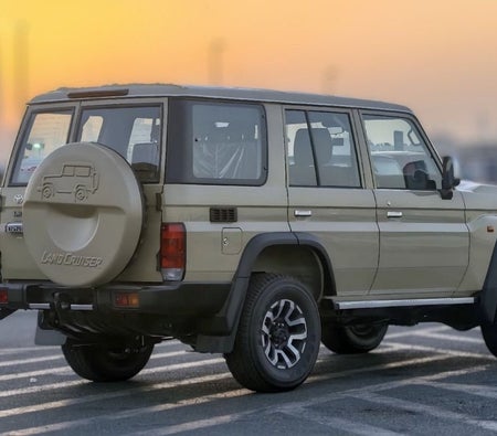 Toyota 70 Series  2025, photo 4 of 4