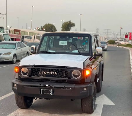 Toyota 70 Series 2026, photo 2 of 4