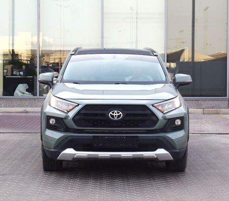 Grau Toyota RAV4 2019
