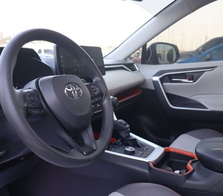 Grau Toyota RAV4 2019
