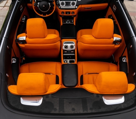 Timeless Elegance, Open Freedom